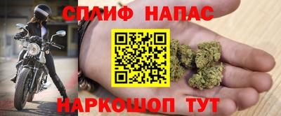 дмт Краснодар