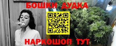 дмт Краснодар